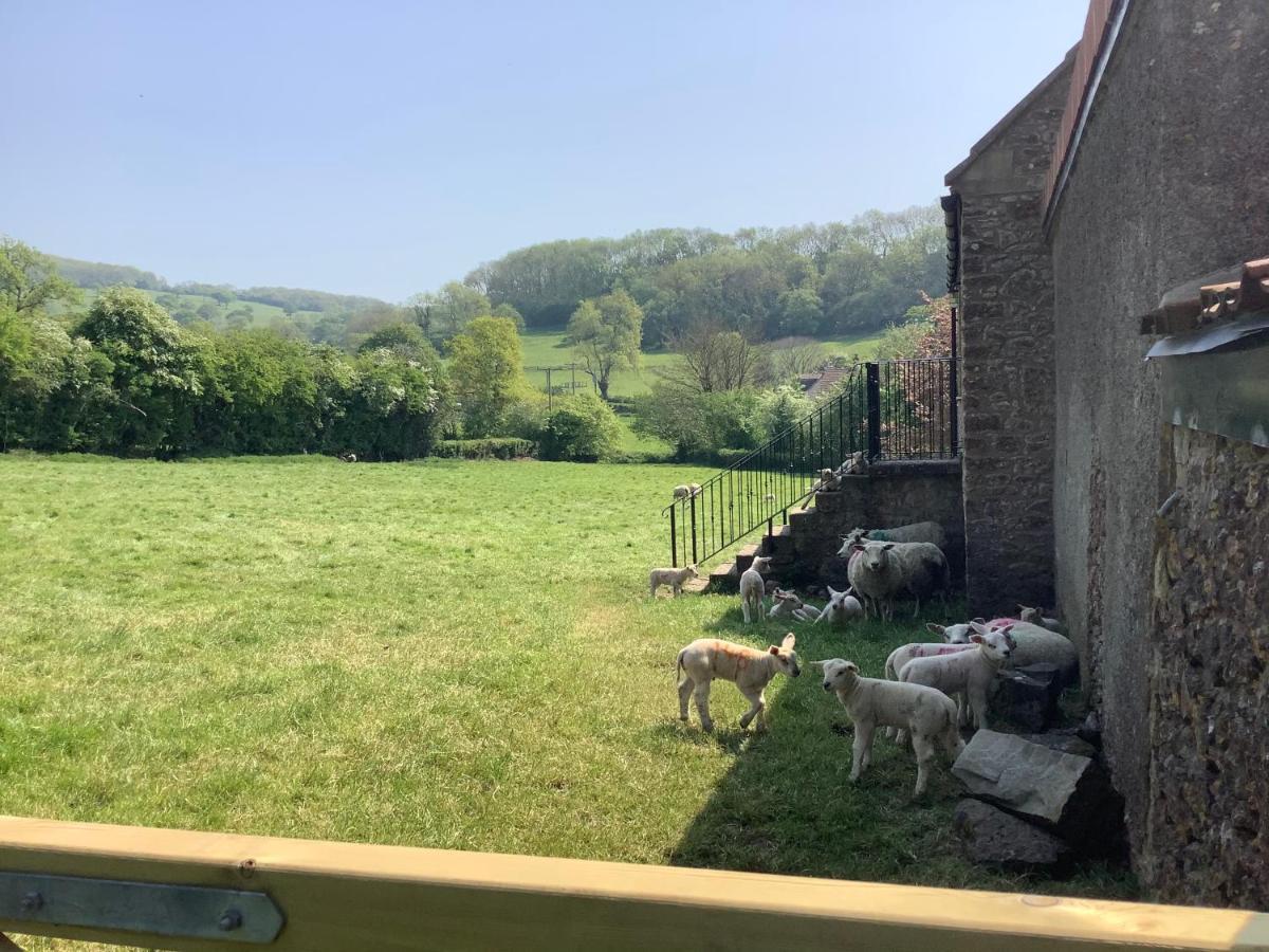 Villa Hayloft Cheddar Exterior foto